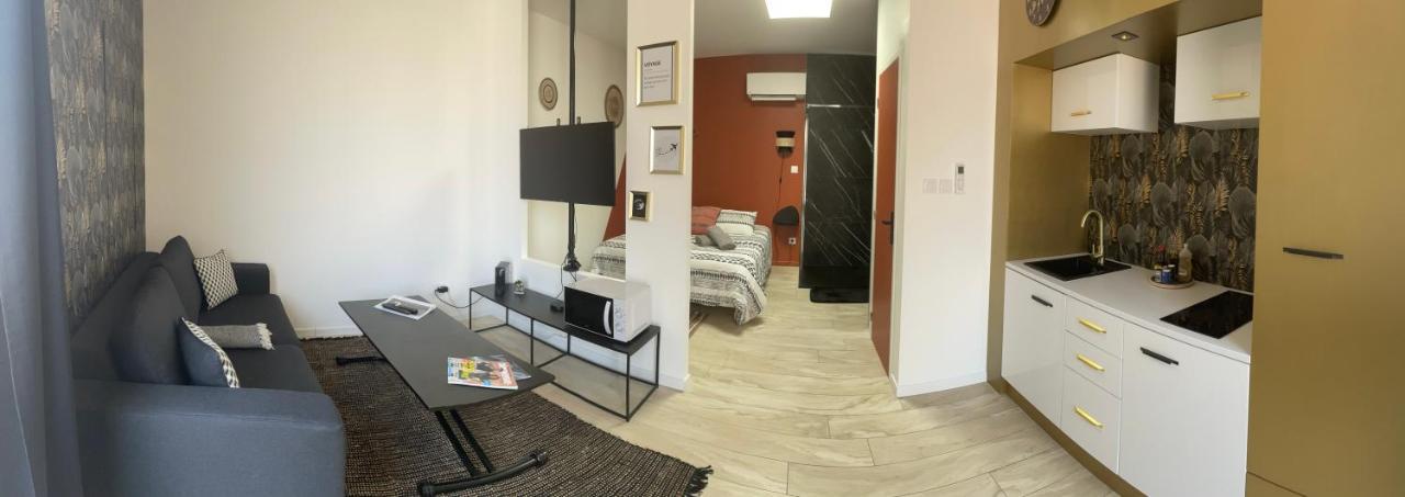 Studio Cosy Tt Confort Proche Aeroport Colombier-Saugnieu Luaran gambar